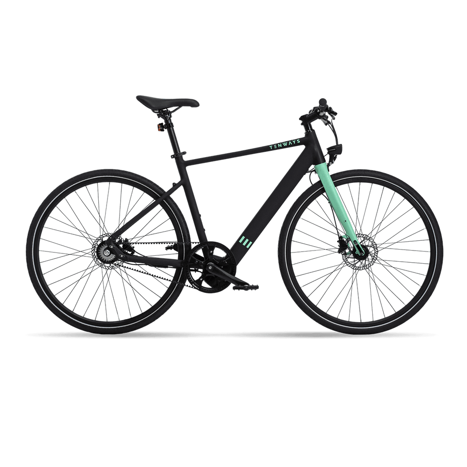 Tenways CGO600 elektromos kerékpár